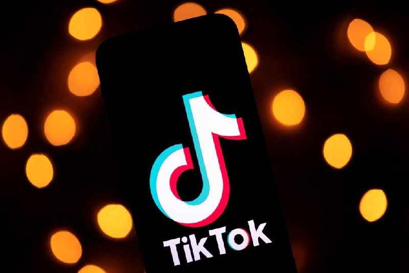 Is TikTok a trend or fad