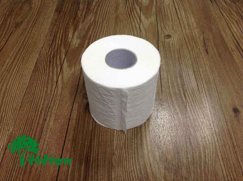 Is toilet paper toiletries