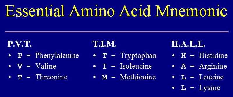 Is valine a neutral amino acid