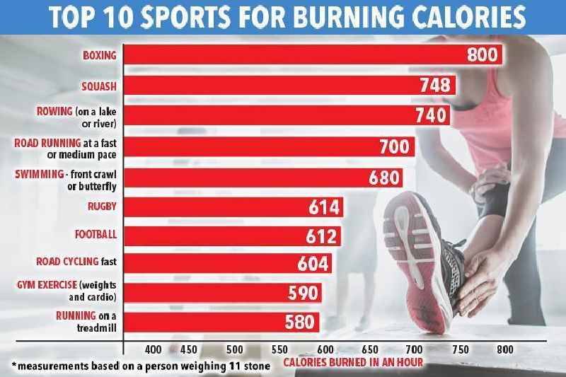 What activity burns the most calories