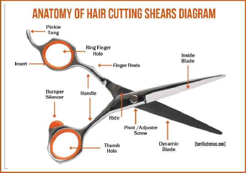 What angle do you hold scissors when cutting hair