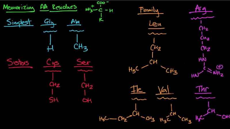 What are 10 essential amino acids