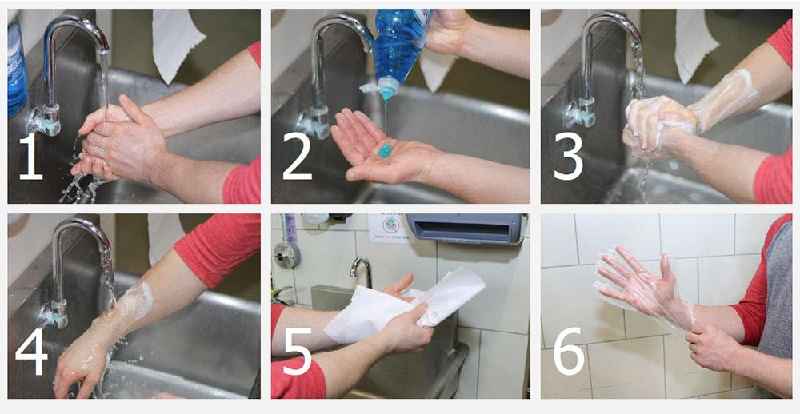 What are 4 good personal hygiene habits of a food handler