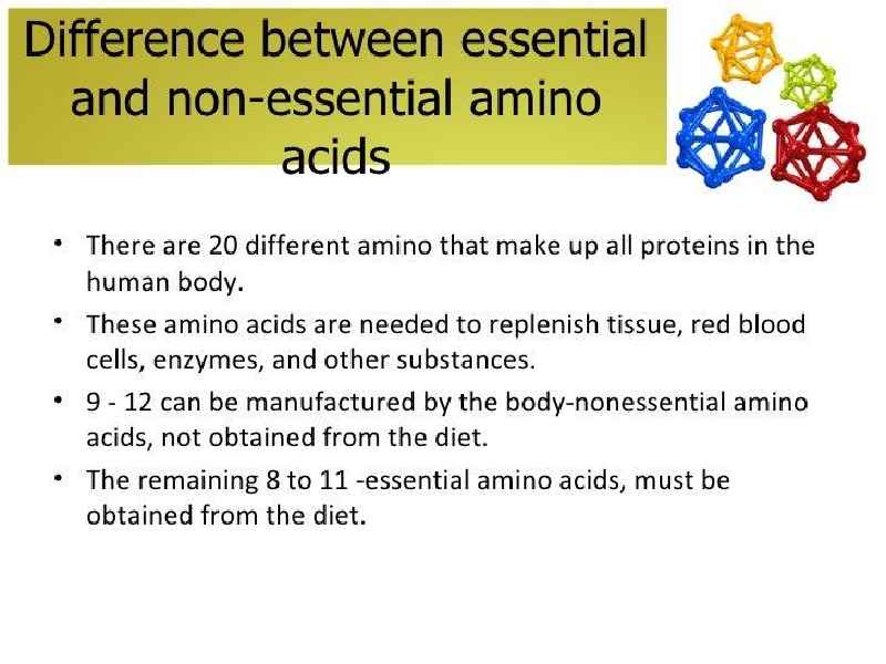 What are essential and non-essential amino acids in human food