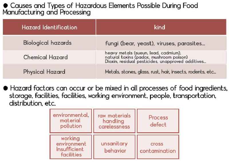 What are the 4 basic principles of food safety including hygiene