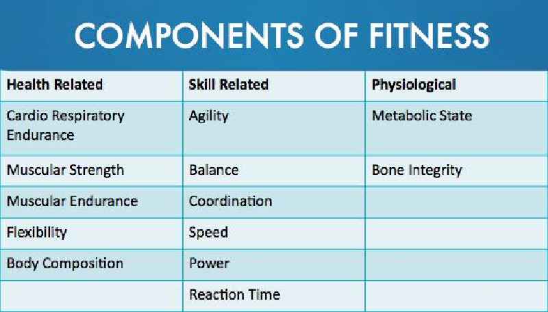 What are the 5 components of health related fitness quizlet