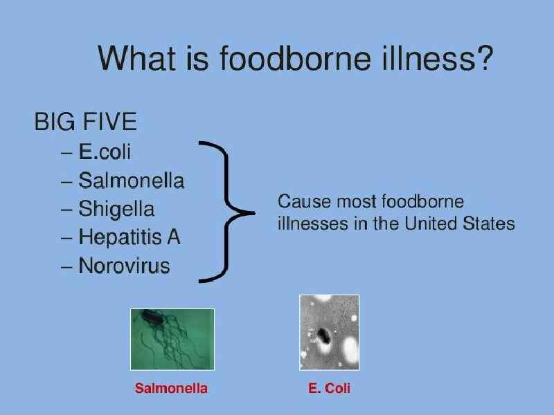 What are the 5 most common causes of foodborne illness