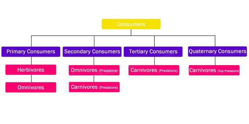 What are the 5 required food label components