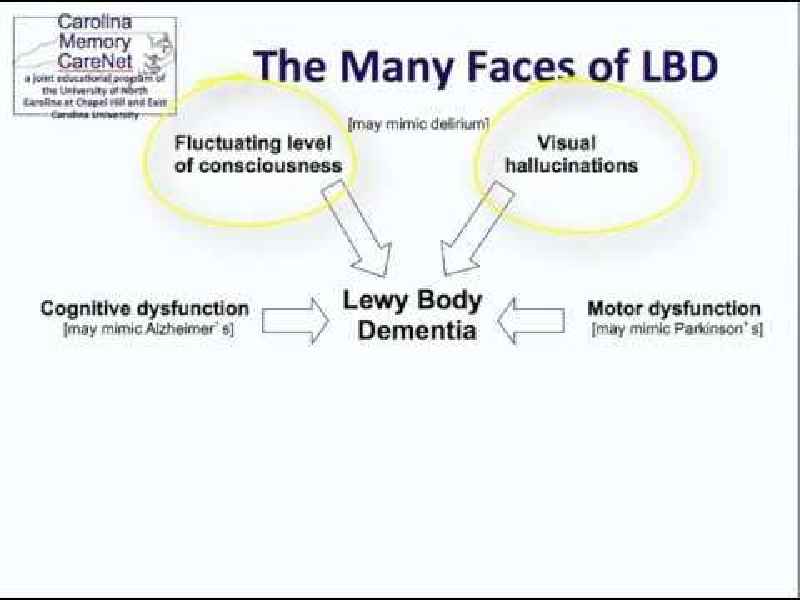 What are the 7 stages of Lewy body dementia