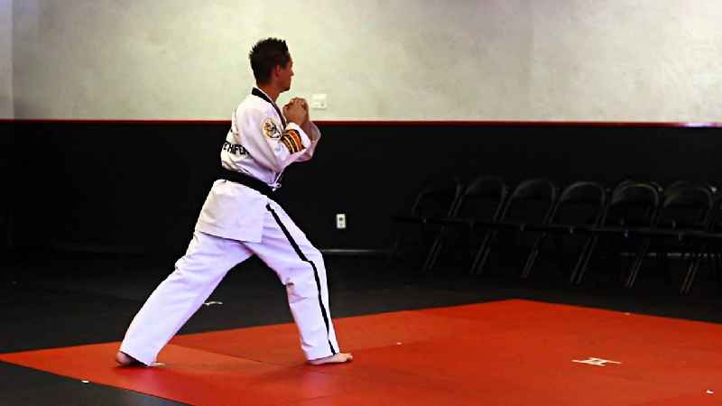What are the benefits of martial arts