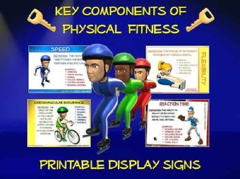 What are the different types of skill related fitness components