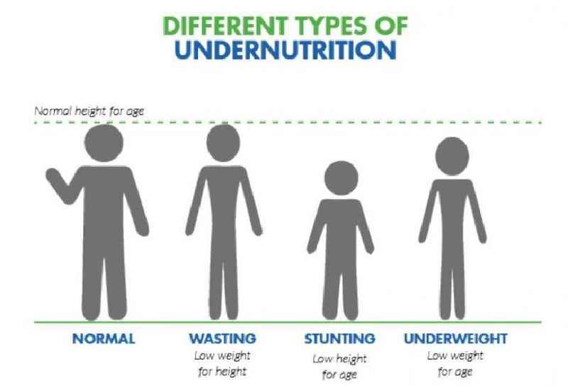 What are the major causes of undernutrition and malnutrition
