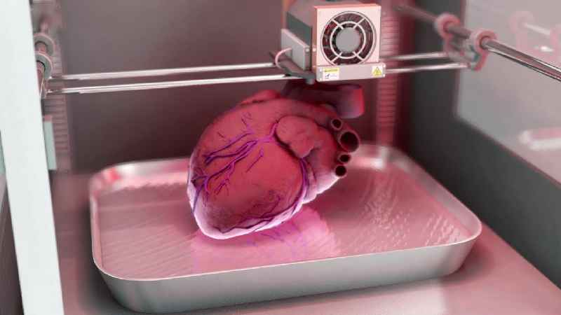 What are the risks of 3D printed organs