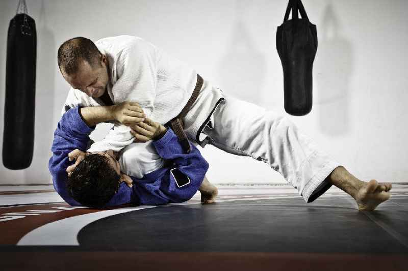 What are the seven most popular types of martial arts