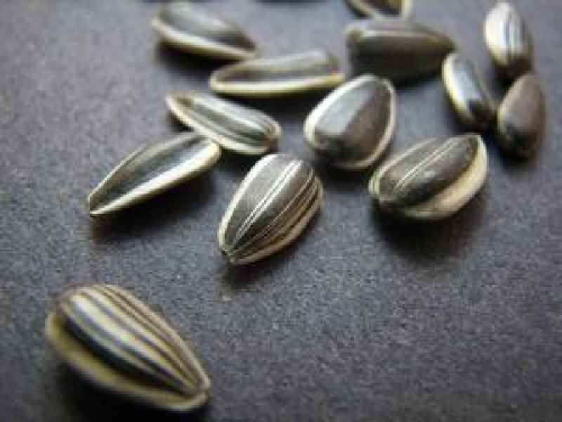 What are the side effects of miracle seed
