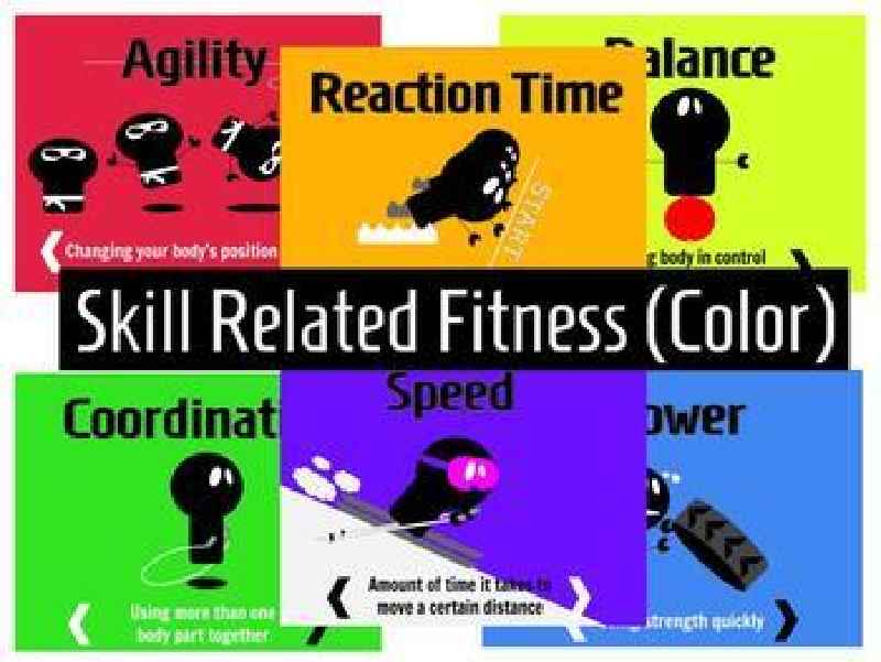 What are the skill related physical fitness components