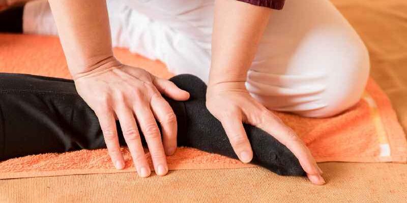 What are the the 5 basic massage techniques