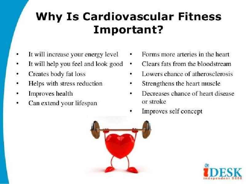 What are two benefits of cardiorespiratory exercise quizlet