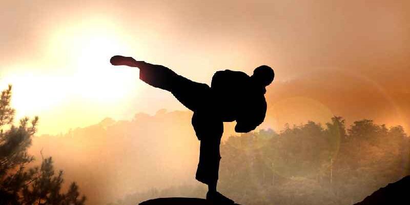 What body type is good for martial arts
