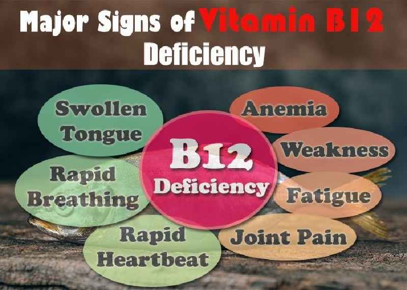 What causes vitamin B12 deficiency in dogs