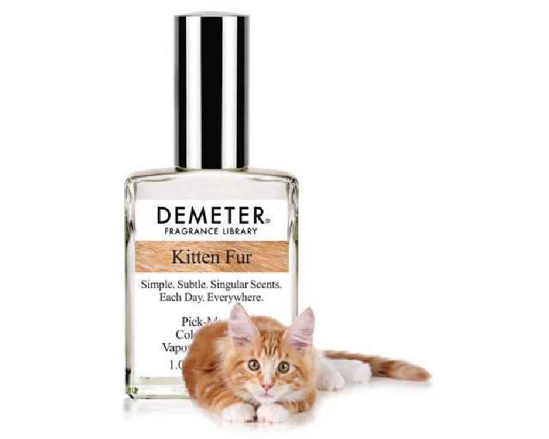What does kitten fur perfume smell like