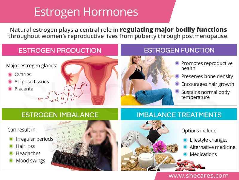What does progesterone do to a woman's body