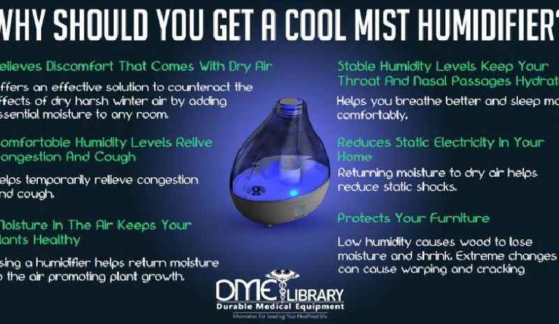What happens if you put essential oils in a humidifier