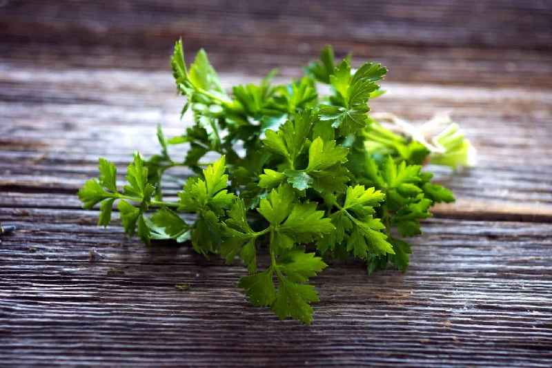 What herbs are bad for liver