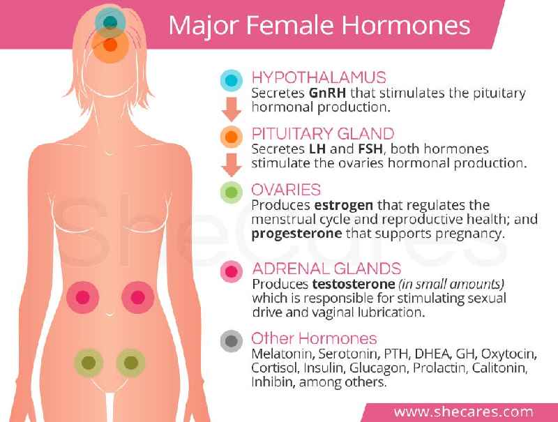 What hormone causes hair loss in females
