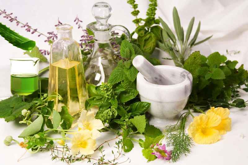 What ingredients are important in skin care