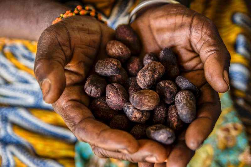 What is African shea butter good for