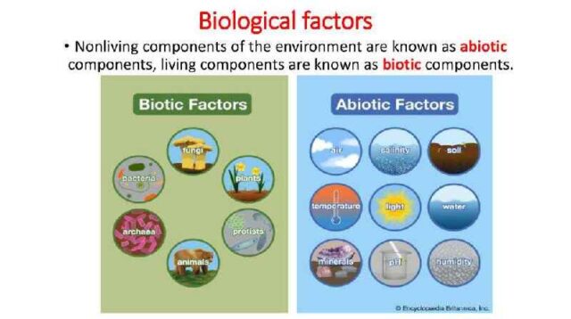 what-is-fitness-in-biology