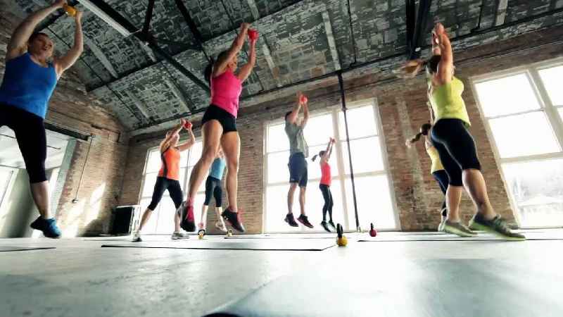 What is cardiovascular fitness class 11