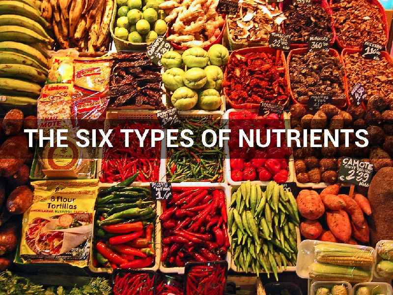 What is in vitamins and minerals