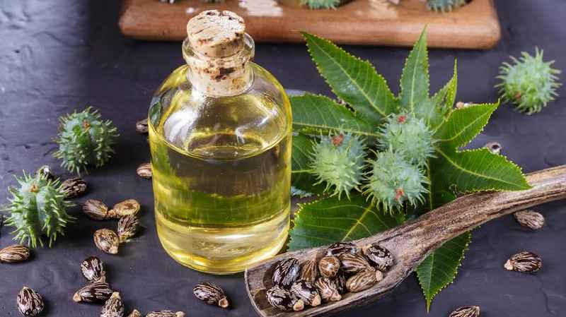 What is Jamaican black castor oil good for