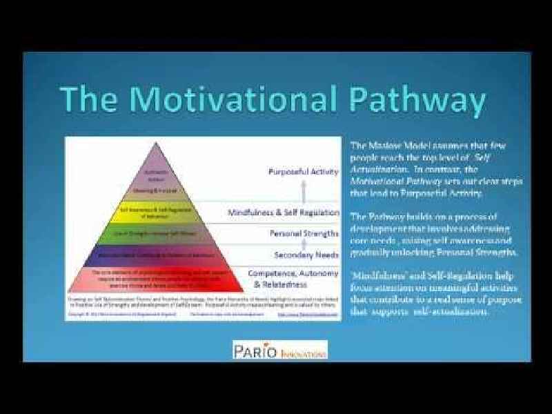 What is Maslow's theory of motivation