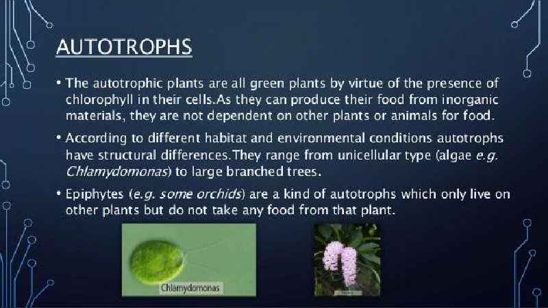 What is meant by autotrophic nutrition