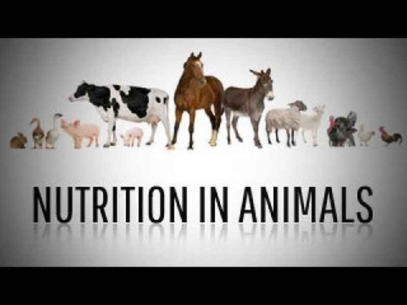 What is nutrition in biology class 10