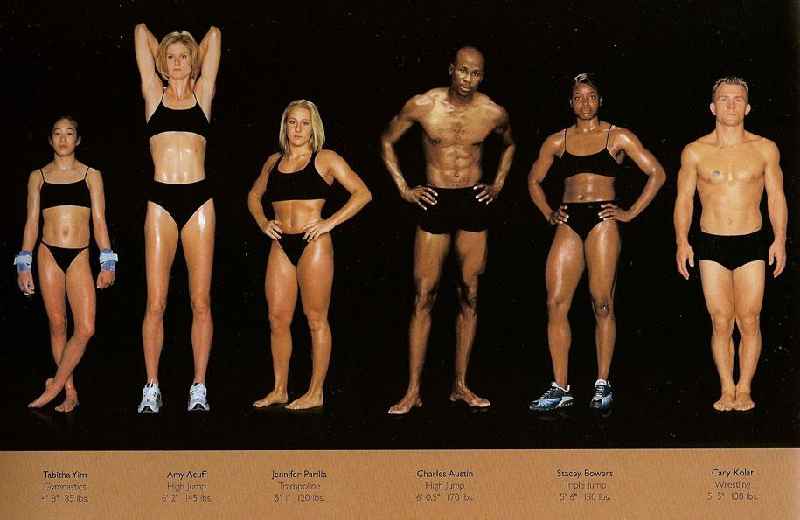 What is the best body type for bodybuilding