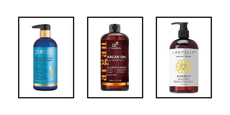 What is the best shampoo for hair loss and dandruff