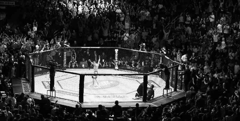 What is the biggest mixed martial arts
