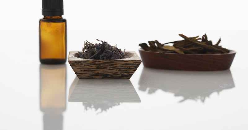 What is the difference between essential oils and fragrance oils