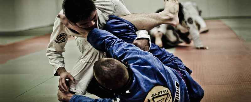 What is the highest belt in Jiu Jitsu
