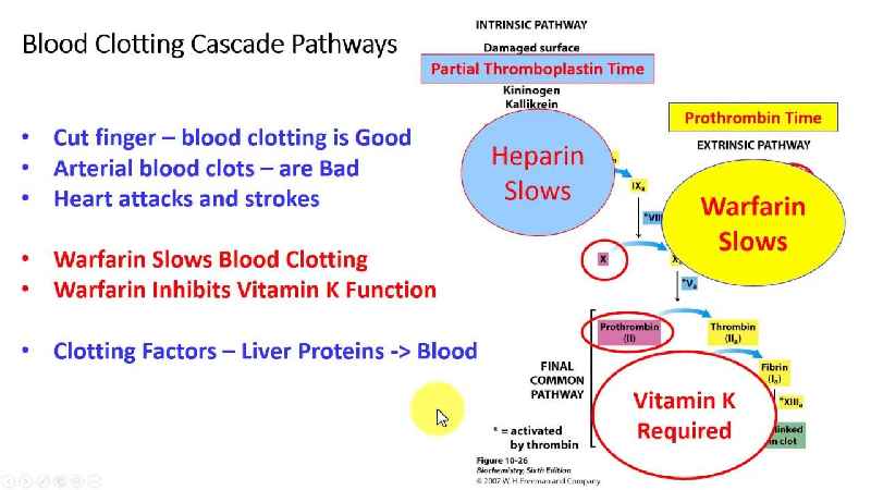 What is the mechanism of action of vitamin K