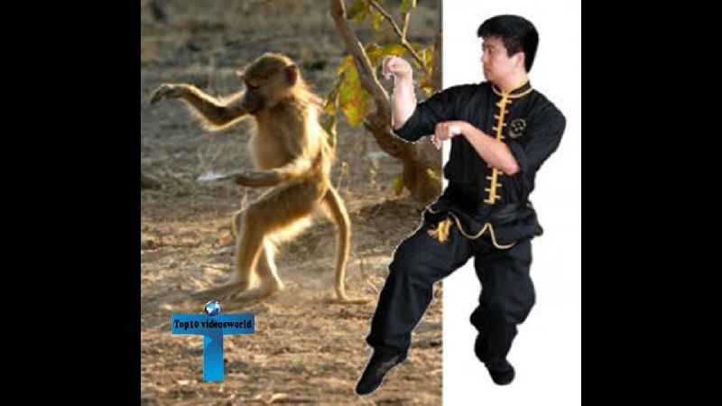 What is the most flashy martial art