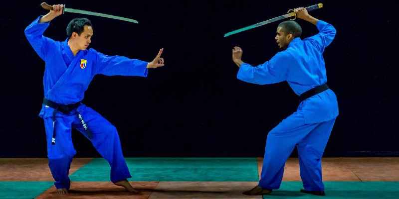 What is the most respected martial art