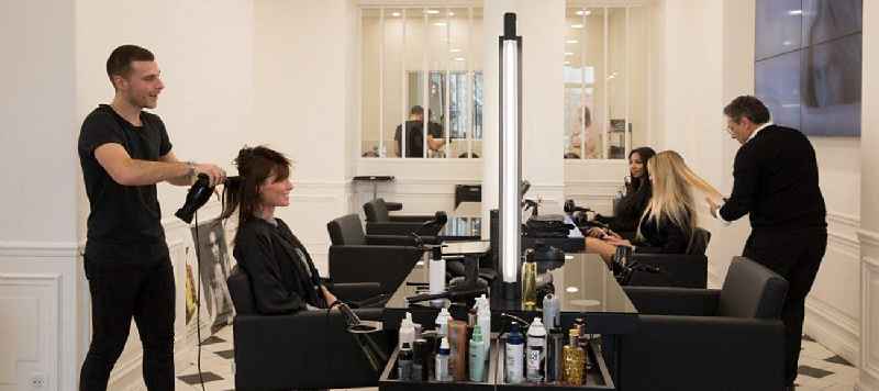 What is the primary responsibility of the salon professionals