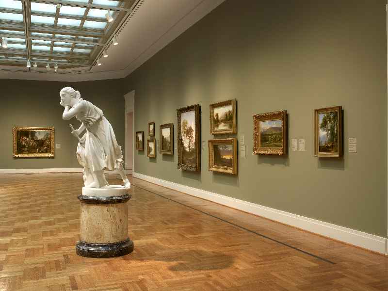 What is the purpose of a museum collection