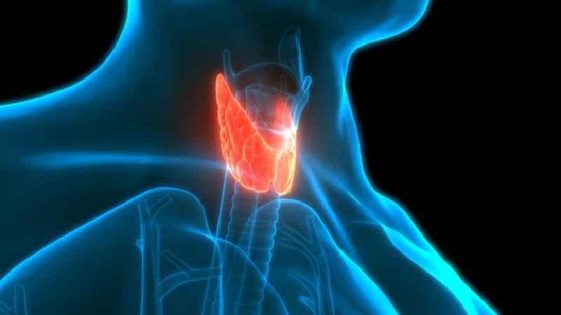 What is the root operation for a complete right thyroid lobectomy