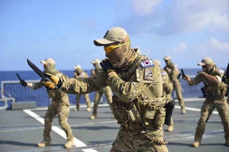 What martial art does Navy SEALs use